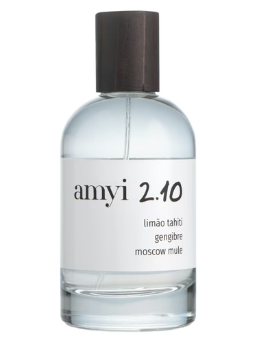 Amyi 2.10